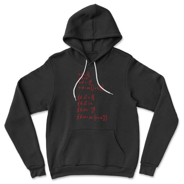 Physics Formula Hoodie in Black color